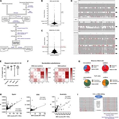 A Novel SARS-CoV-2 Viral Sequence Bioinformatic Pipeline Has Found Genetic Evidence That the Viral 3′ Untranslated Region (UTR) Is Evolving and Generating Increased Viral Diversity